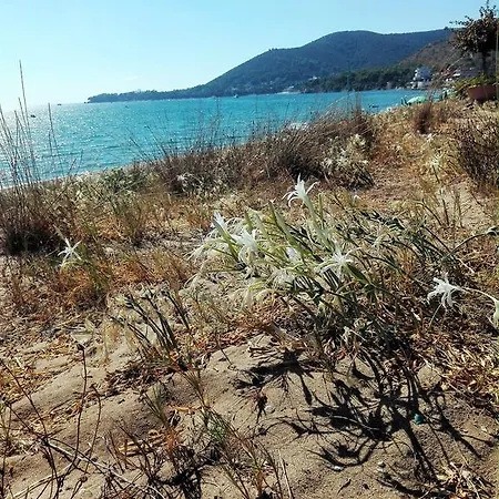 Il Giardino Sull'alento Bed and breakfast 3*