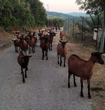 B&B Il Giardino Sull'alento