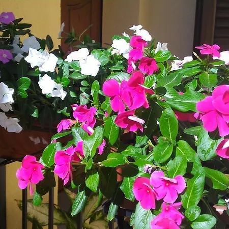 Il Giardino Sull'alento Prignano Cilento